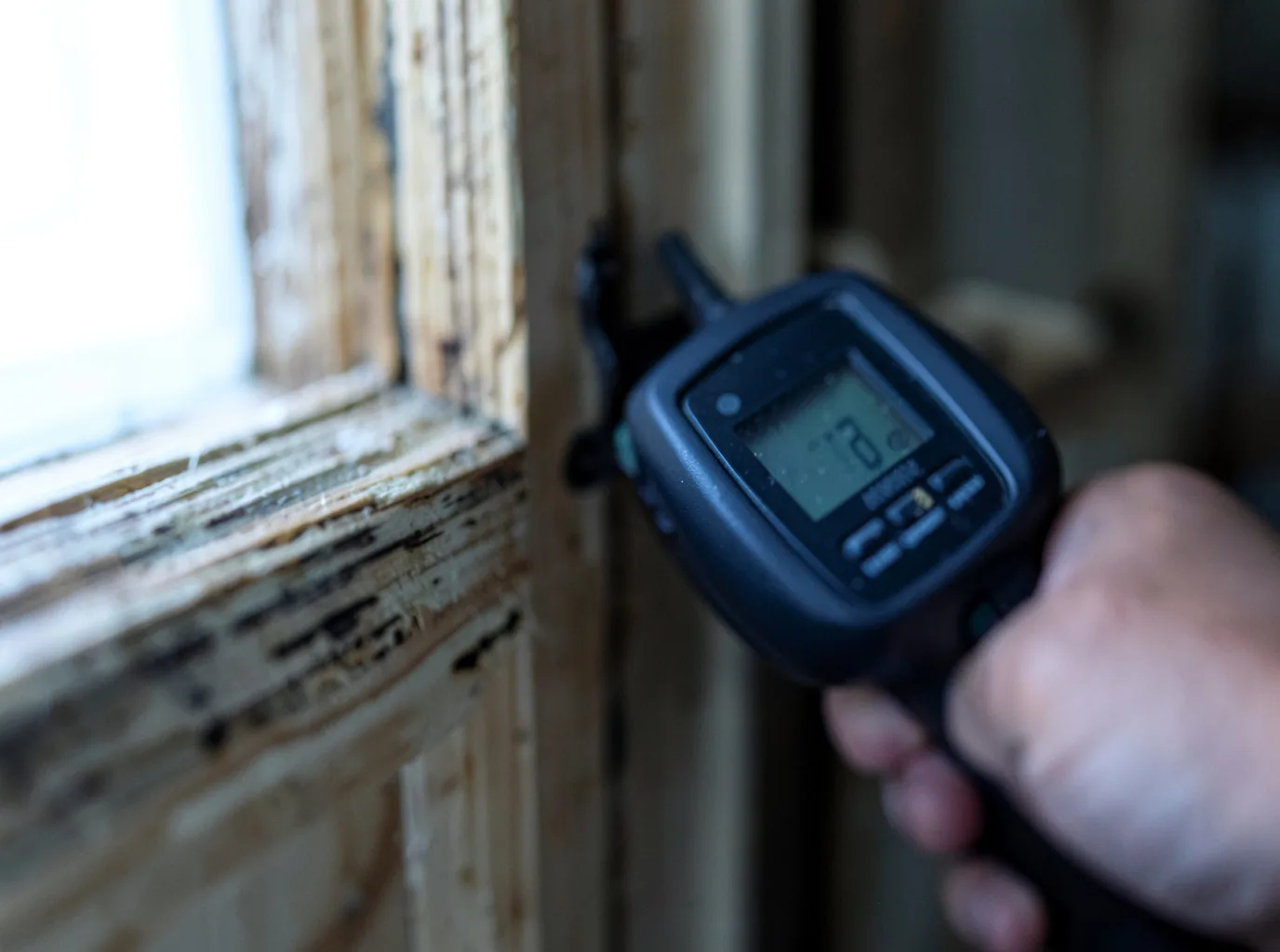 Moisture Inspection And Documentation in Jeannette, PA